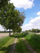 Landschaft-Deinstedt1-Foto-Gunda-Braasch