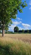 Landschaft-Deinstedt4-Foto-Gunda-Braasch