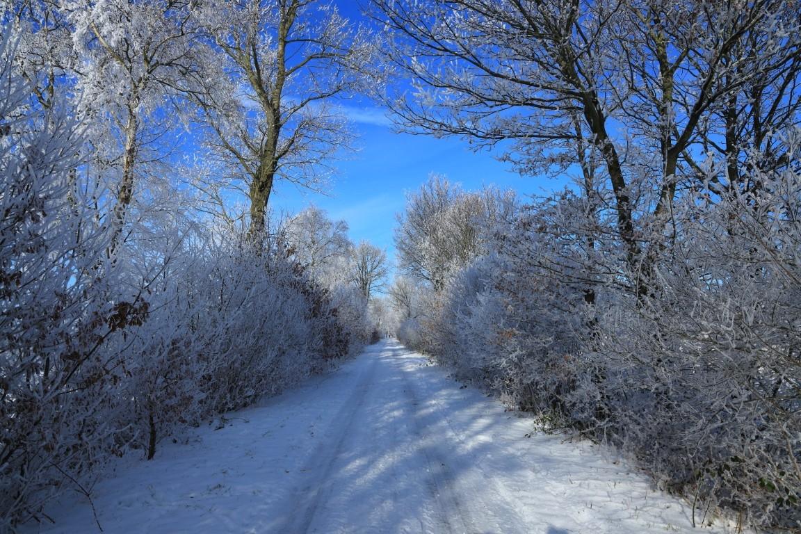 1K3A5601-winterlicher-Weg-ins-Konigsmoor-Mittel