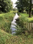 2022-04-25Rummeldeisbeek-Mittel